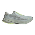Supernova Rise GTX Neutrale schoen Heren - groen, grijs