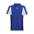 blauw_5727