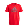 Big Logo T-shirt Jongens - rood, zwart