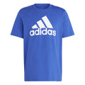 blauw_5727