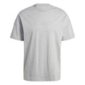 All SZN T-shirt Heren - grijs,