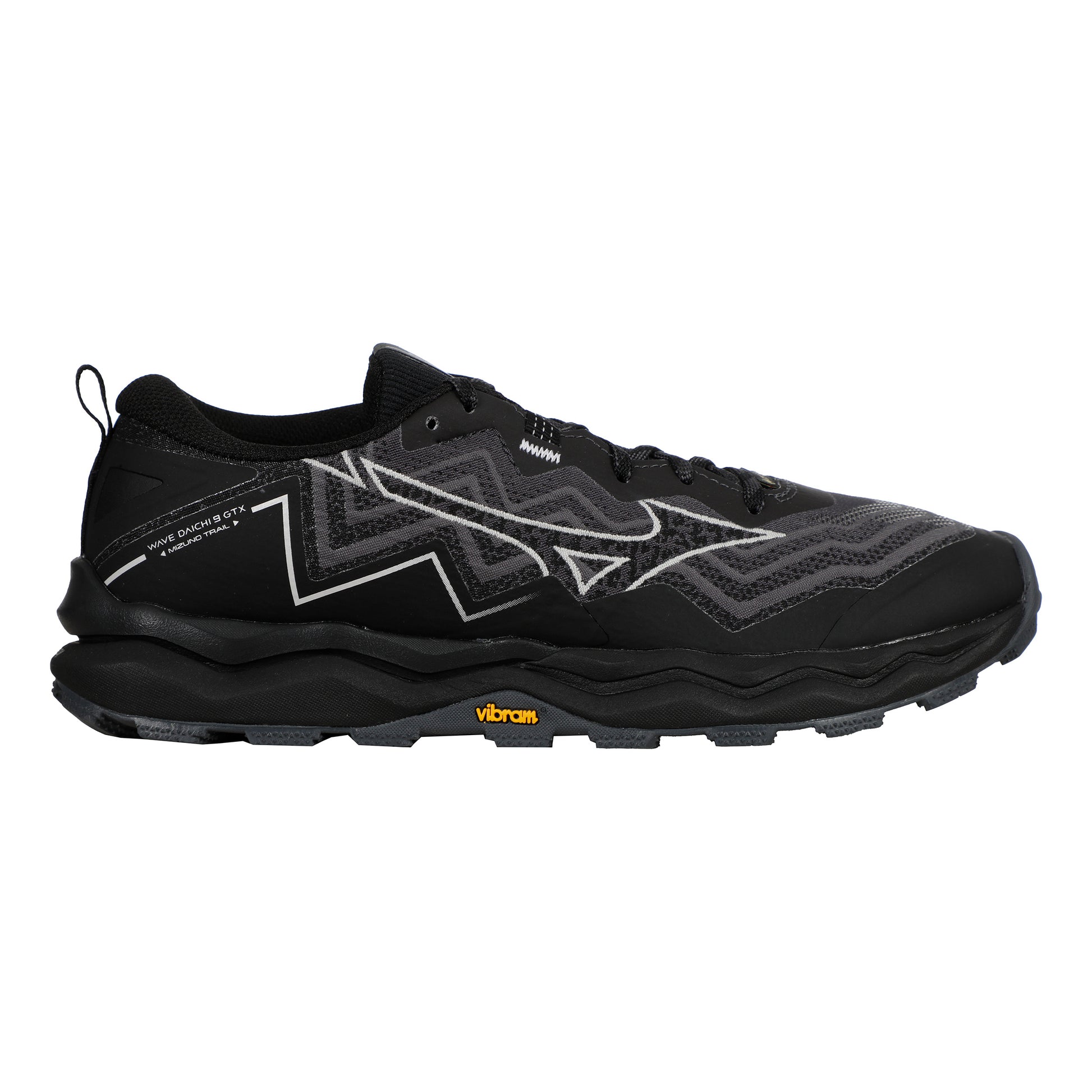Mizuno Wave Daichi 9 GTX               Trailschoen Dames-grijs, lichtgrijs