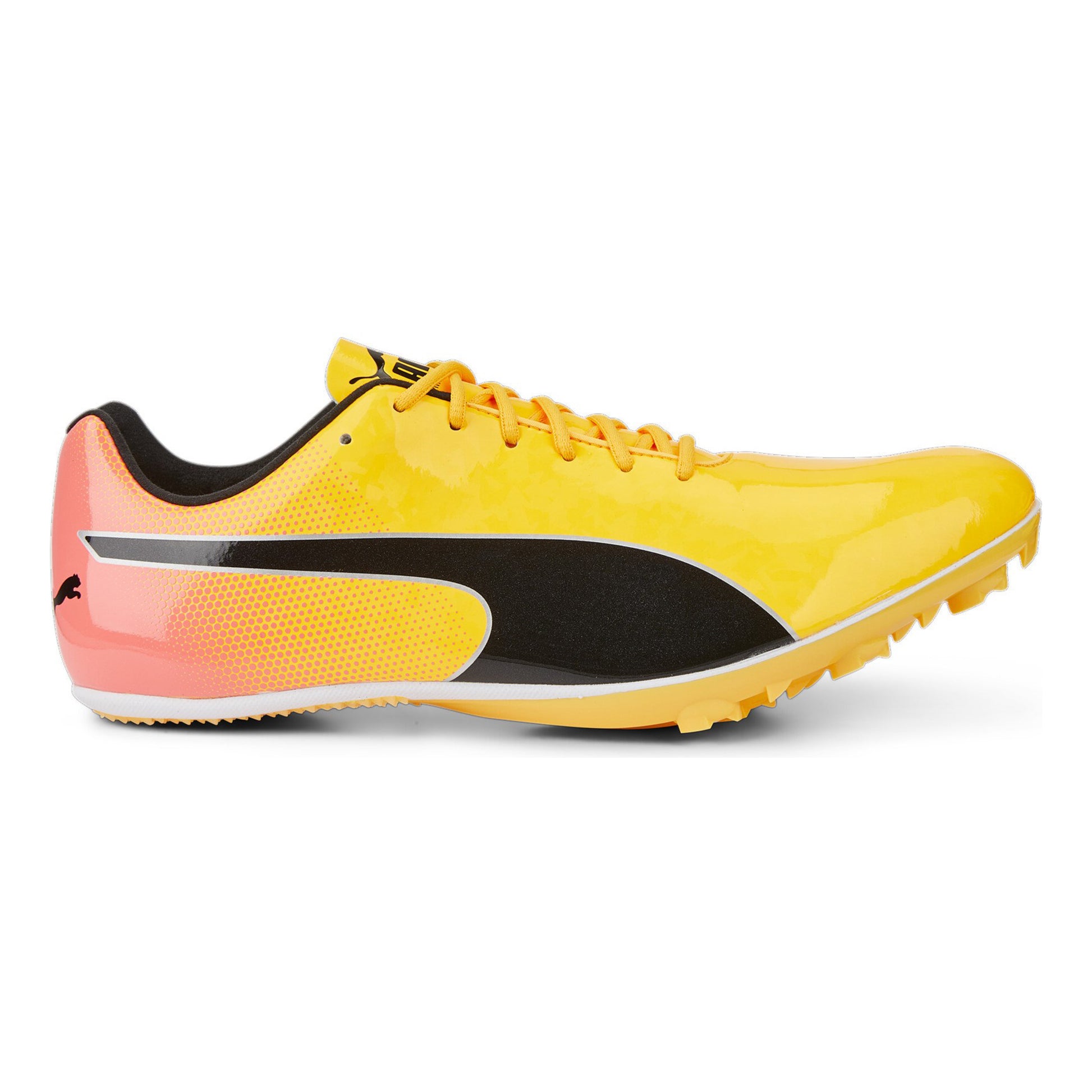 Puma EvoSPEED Sprint 14 Spikes-Geel,Oranje