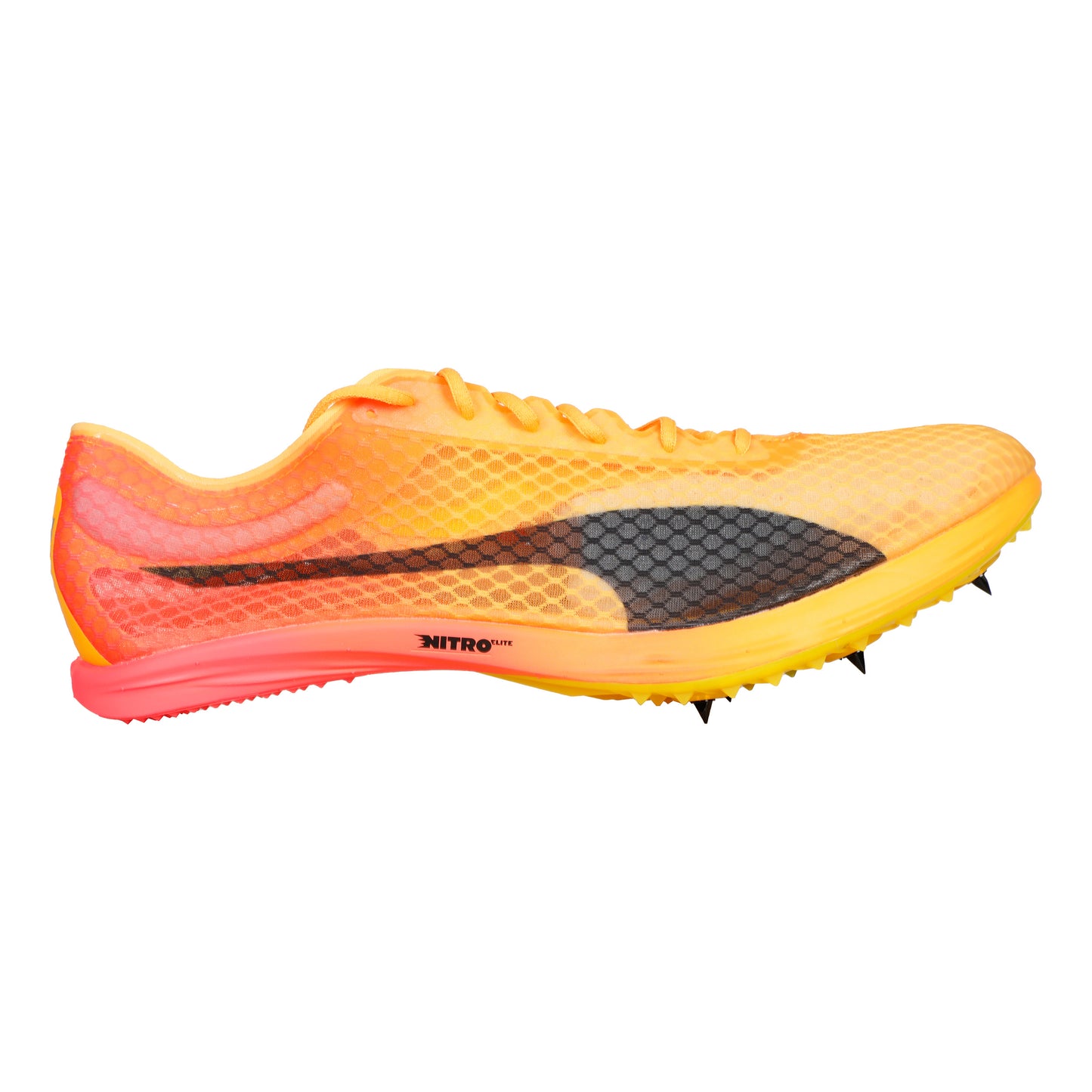 Puma EvoSPEED Distance Nitro Elite+ 4 Spikes-Oranje,Zwart