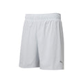 Run Favorite 2in1 Hardloopshorts Heren-Lichtgrijs