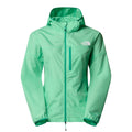 mint_11858