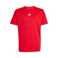 rood_5692