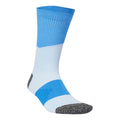 Run x Boost  Hardloopsokken Unisex-blauw, lichtblauw