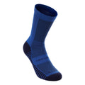 blauw_5727