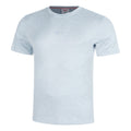 Everyday Performance T-shirt Heren-blaugrau