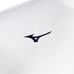 Mizuno