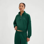 Ellesse Kleding Ellesse Carrera 1/4 Zip Longsleeve Dames - donkergroen, 