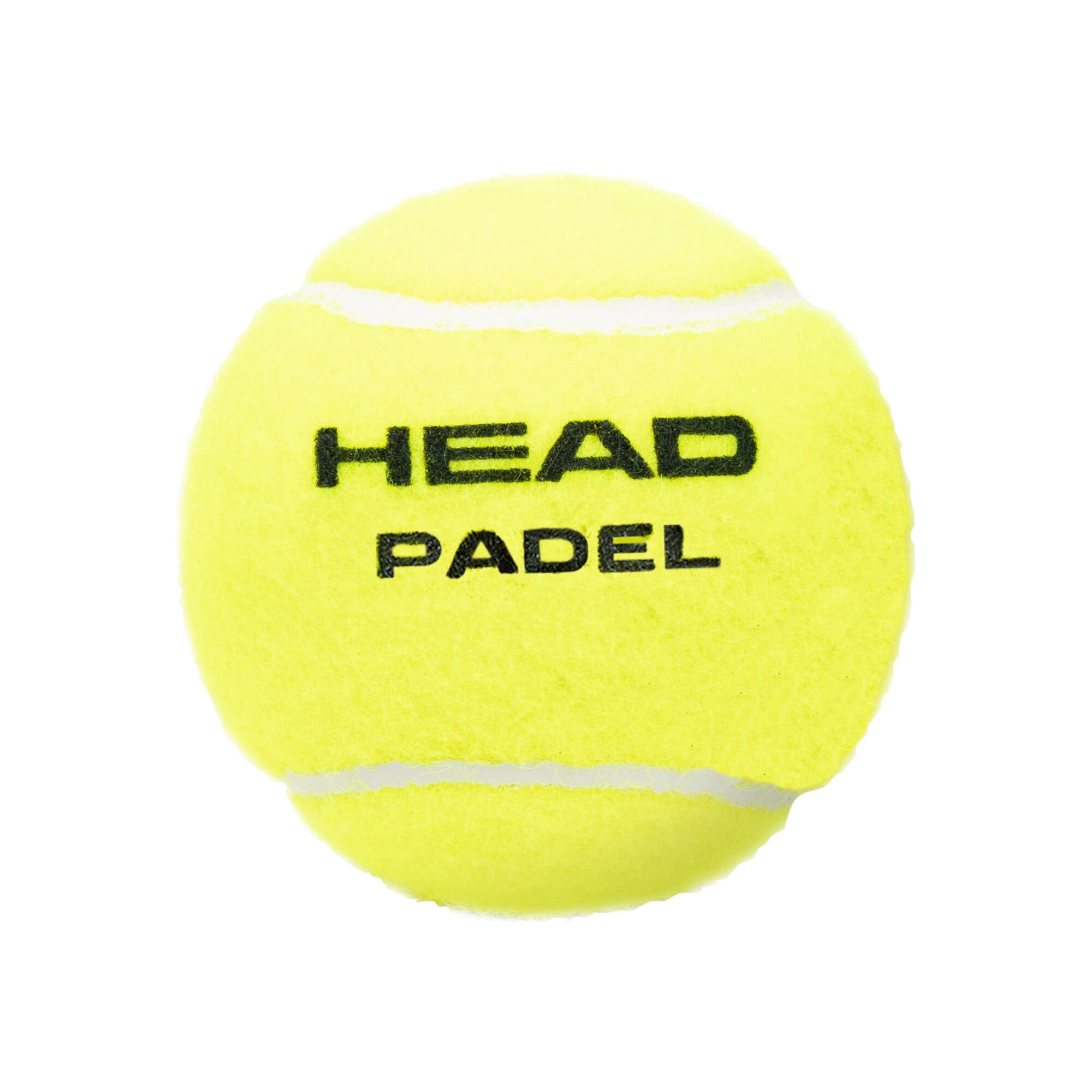 HEAD