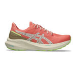 ASICS Hardloopschoenen ASICS GT-1000 13 TR Stabiliteitsschoen Dames-Koraal,Beige