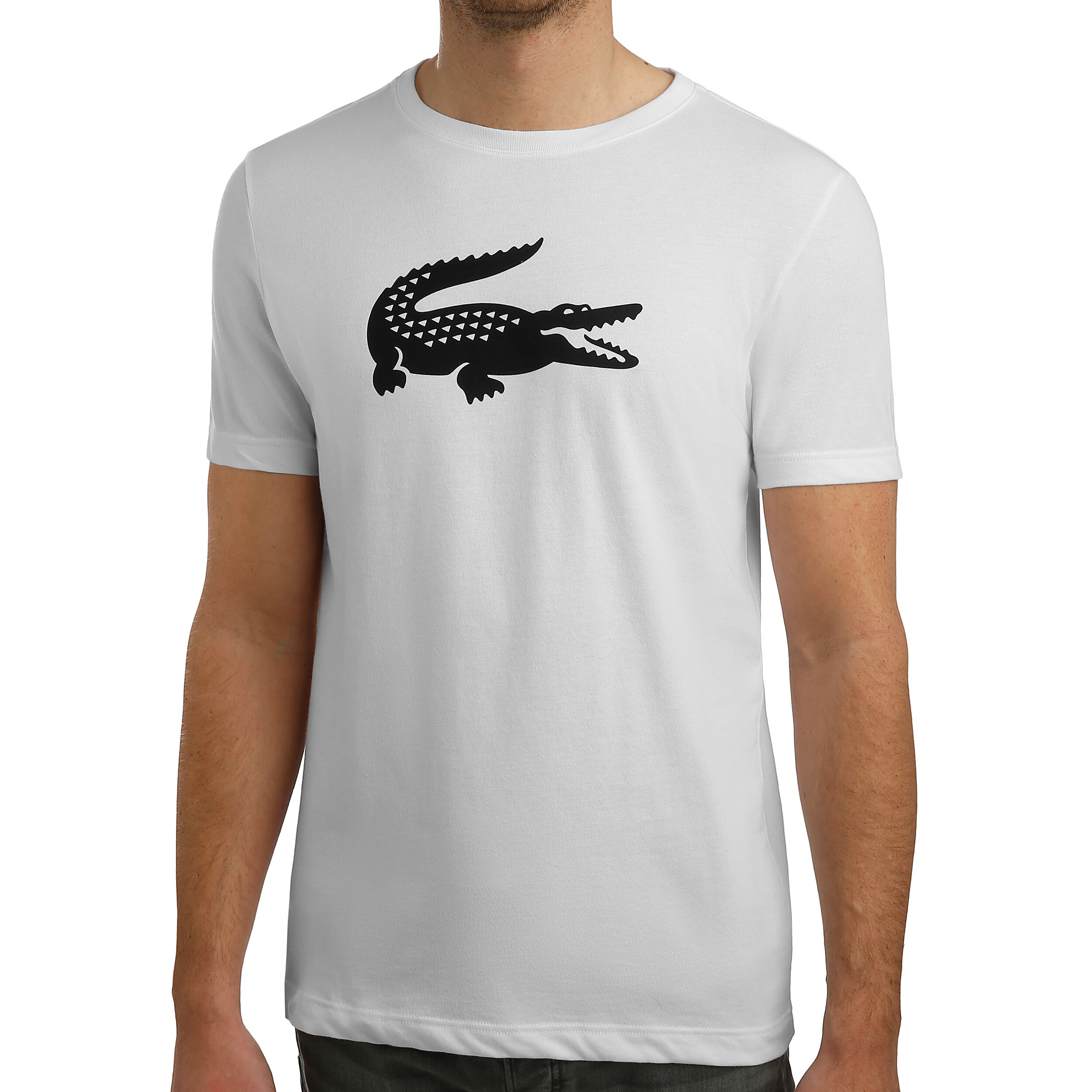 Lacoste t 2025 shirt logo