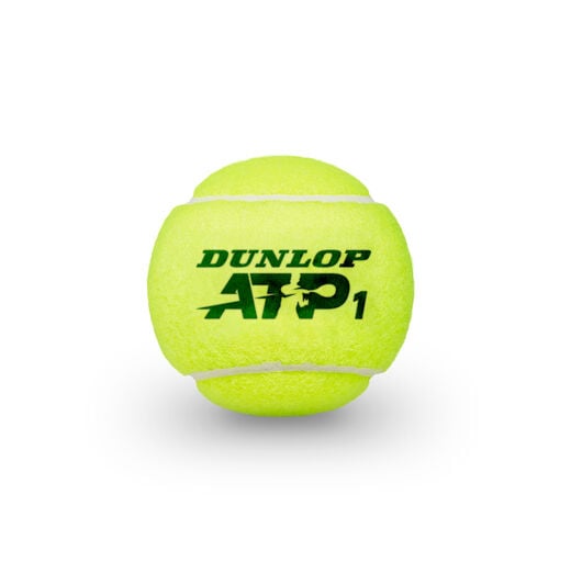 Dunlop