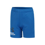 Under Armour Kleding Under Armour Tech Logo Shorts Jongens-Blauw