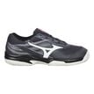 Mizuno