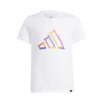 adidas Graphic Tee