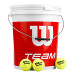 Wilson Tennisballen Wilson Team W Trainer 72 Tennisbälle im Eimer