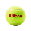 Wilson