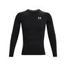 Heatgear Comp Longsleeve Heren-Zwart,Wit