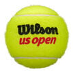 Wilson