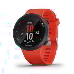 Forerunner 45 Small