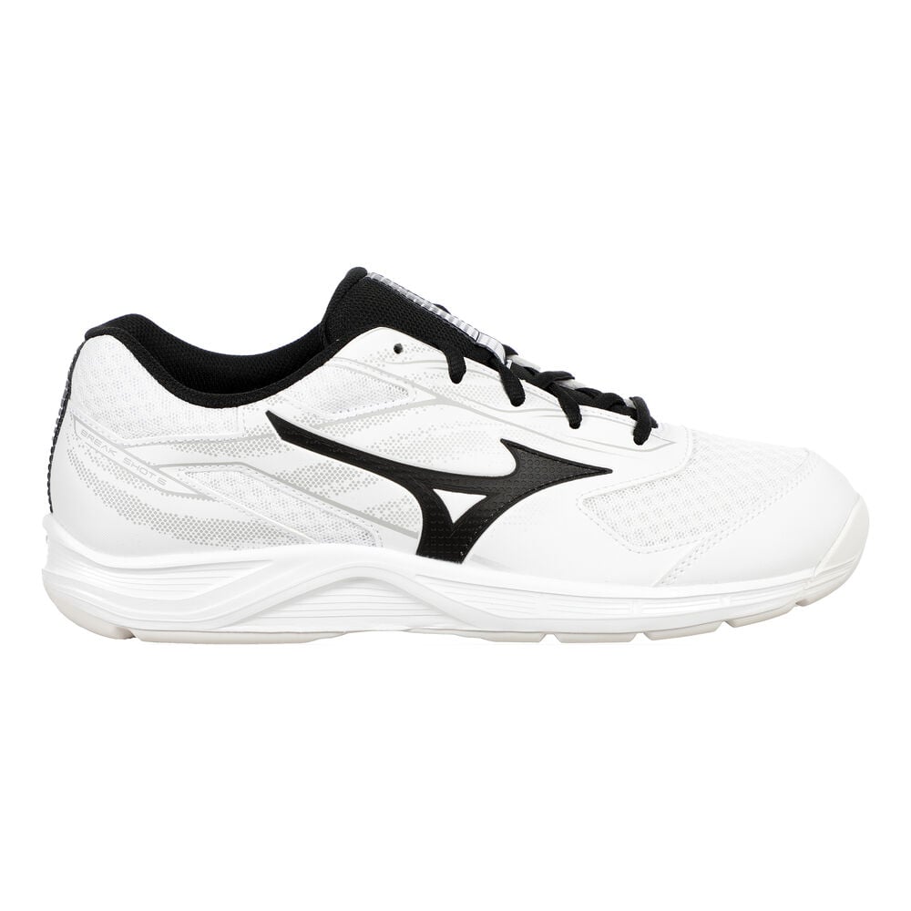 Mizuno Break Shot 5 Tennisschoenen Heren