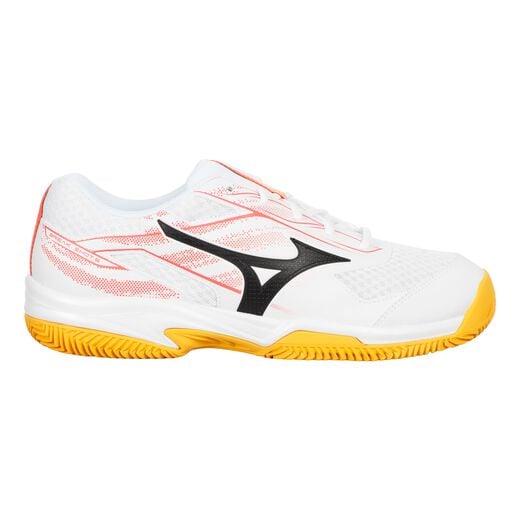 Mizuno