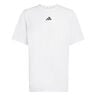 D4T Essentials T-shirt Heren-wit