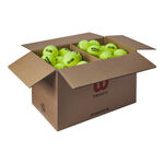 Wilson Tennisballen Wilson Triniti Club Box 72 Stuks