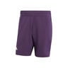 Ergo 7in Shorts Heren-Paars
