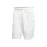 Ergo 9Inch Shorts Heren - wit