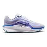 Nike Hardloopschoenen Nike Winflo 11 Neutrale Schoen Heren-Lichtgrijs,Blauw