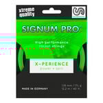 Signum Pro Xperience 12 m