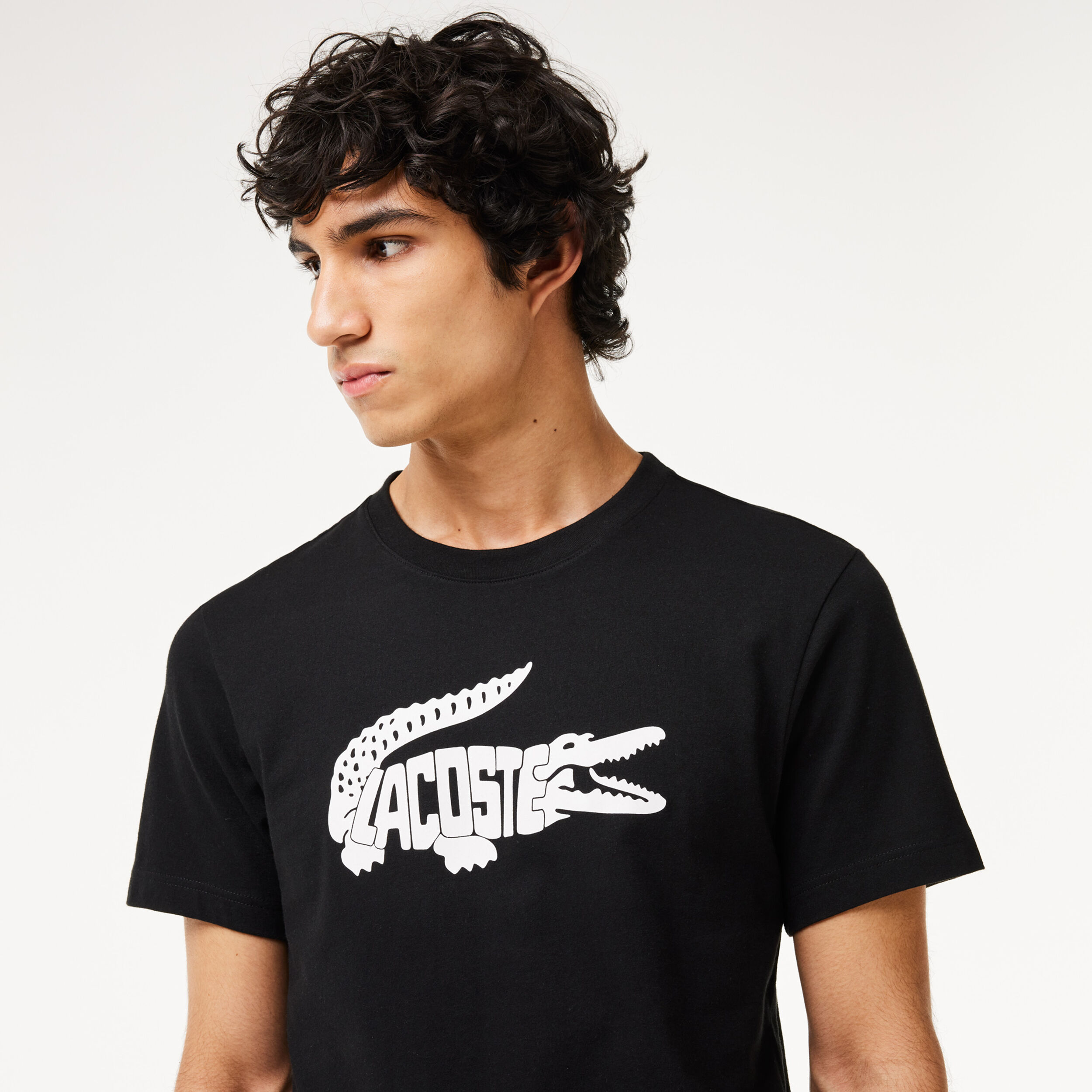 Buy Lacoste T shirt Heren Zwart Wit online Tennis Point NL