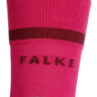 Falke