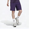 Y-3 Ergo Shorts Heren-Paars