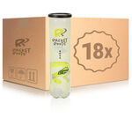 Racket Roots Club Tennisball Verpakking 4 Stuks
